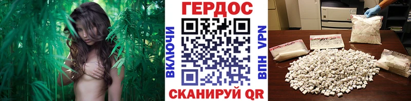 ГЕРОИН хмурый Новоаннинский